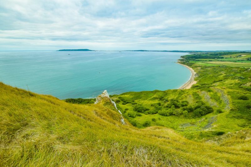 Best Dog Friendly Beaches Jurassic Coast