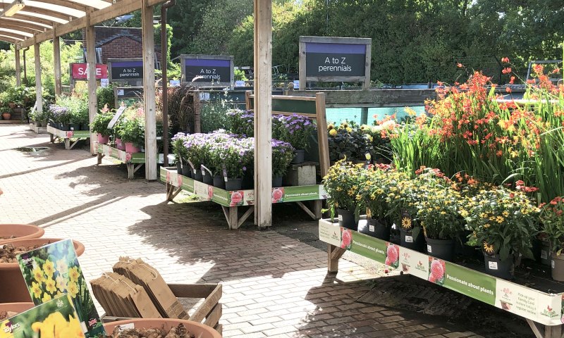 Best Dog Friendly Garden Centres Essex