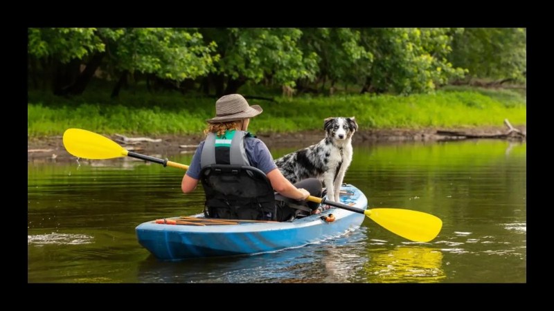 Best Dog-friendly Kayaks