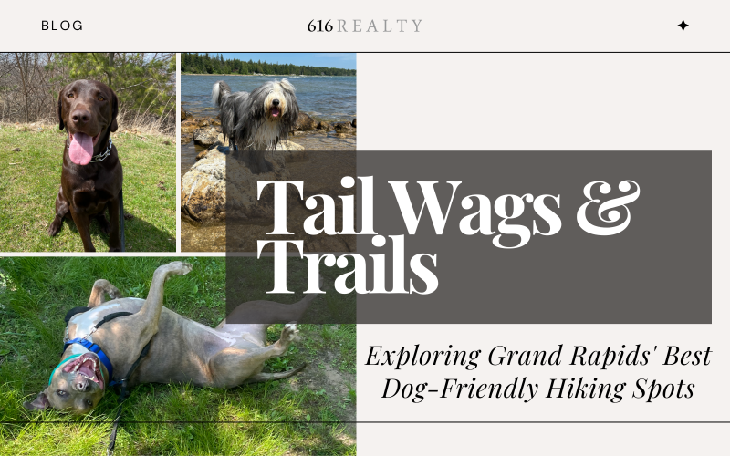 Best Dog Friendly Nature Trails Near Me