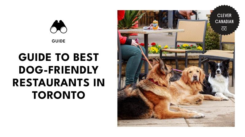 Best Dog Friendly Patios Vancouver