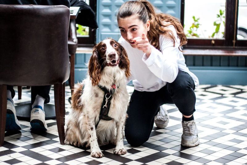 Best Dog Friendly Pubs Edinburgh