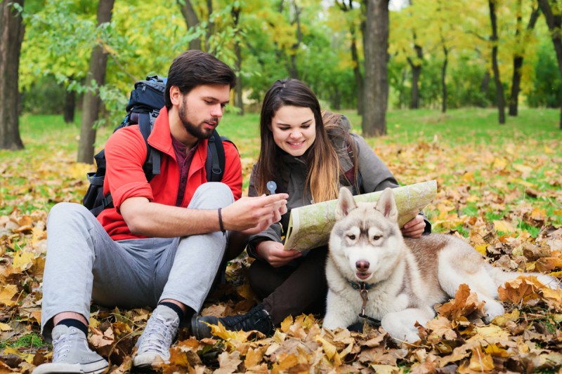 Best Dog Friendly Trails Acadia National Park