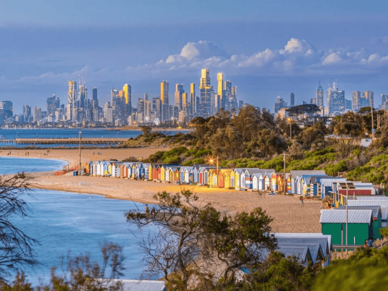 Best Dog Friendly Walks Melbourne