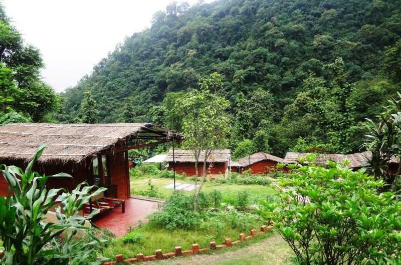 Best Pet Friendly Resorts In Rishikesh