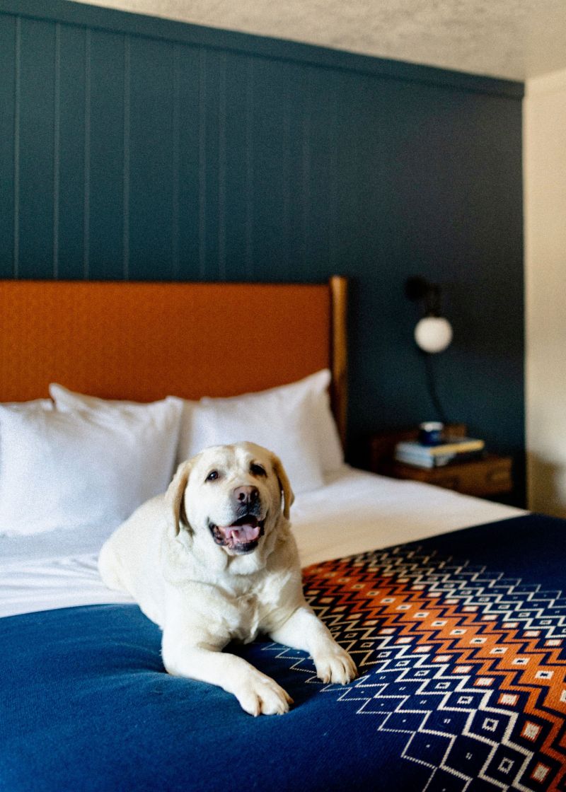 Best Pet Friendly Resorts Missouri