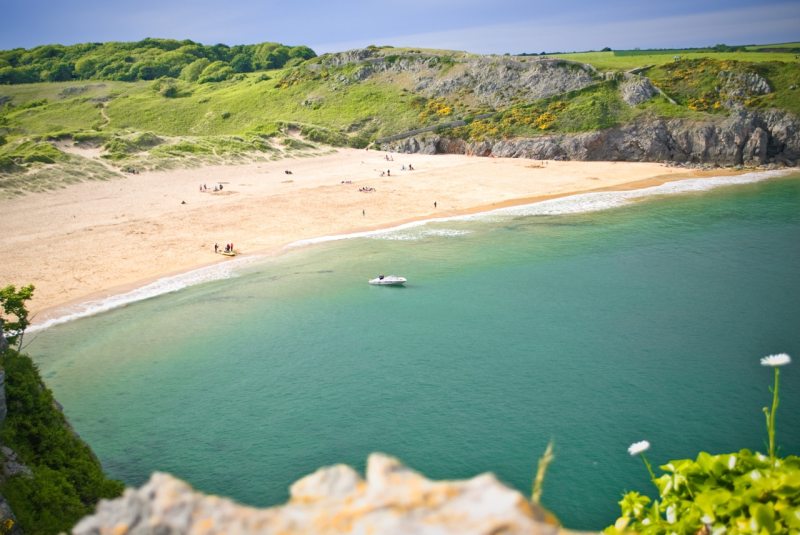 Dog Friendly Beaches East Coast Uk