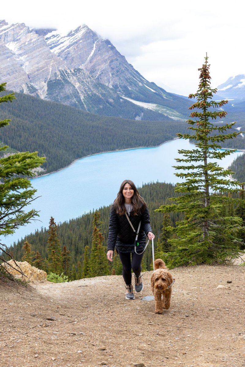 Dog Friendly Hiking Vacations