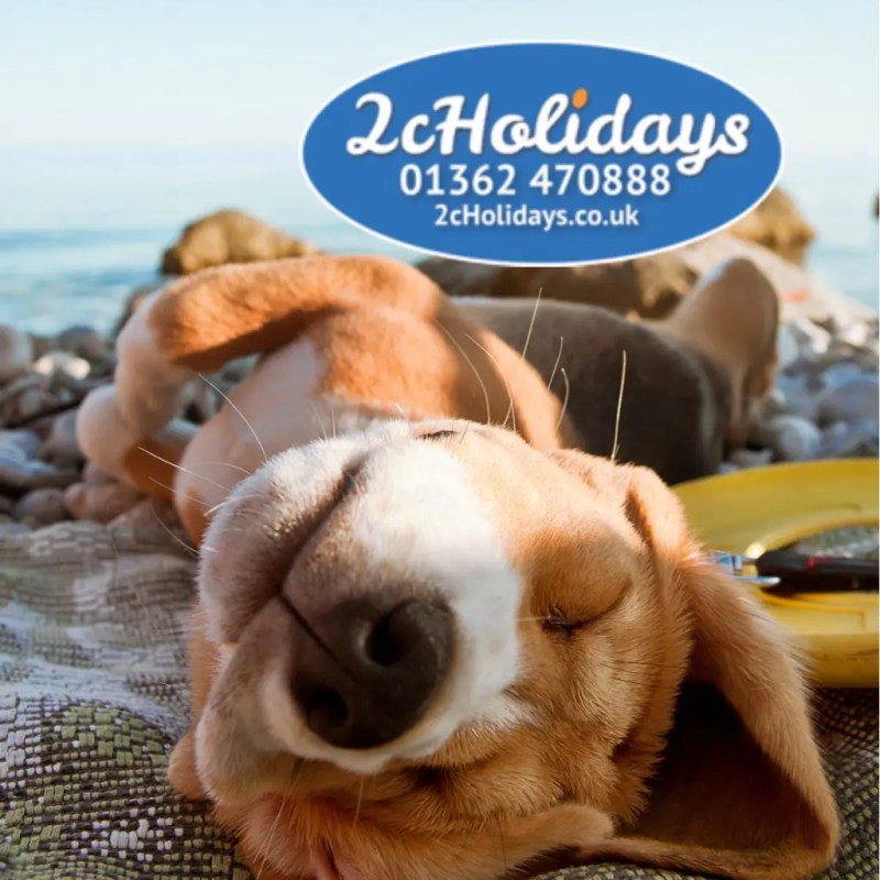 Dog Friendly Holidays Hemsby