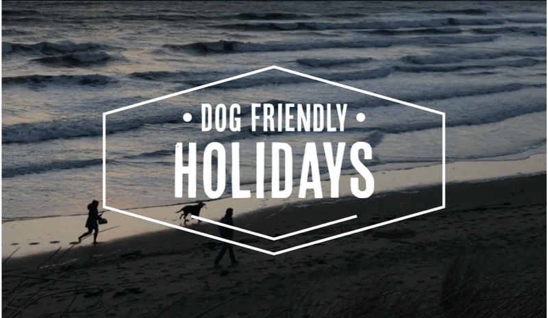 Dog Friendly Holidays Uk Beach