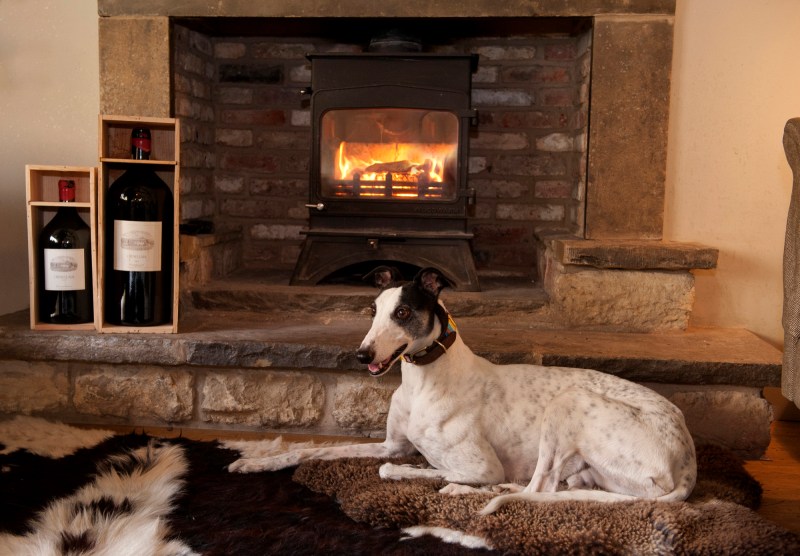 Dog Friendly Hotels East Coast Yorkshire