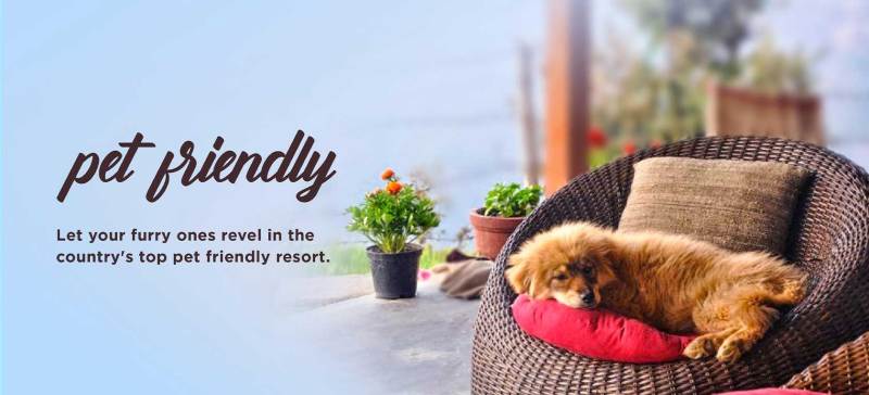 Dog-friendly Vacation Resorts