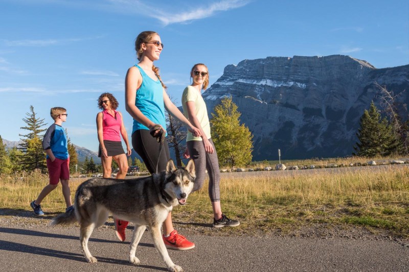 Dog Friendly Vacations Canada