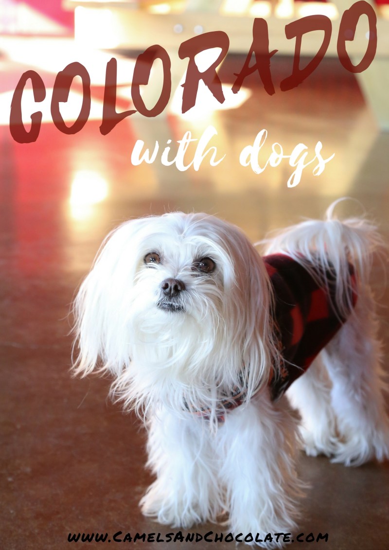 Dog Friendly Vacations Colorado