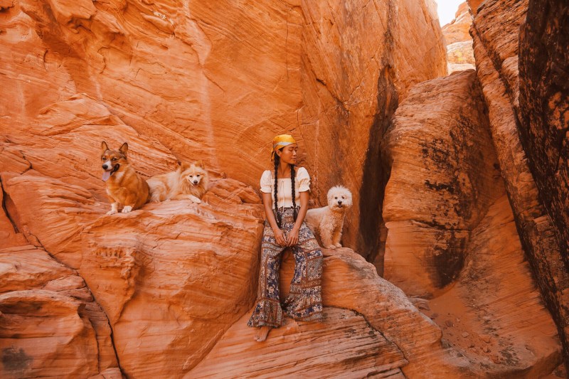 Dog Friendly Vacations In Arizona