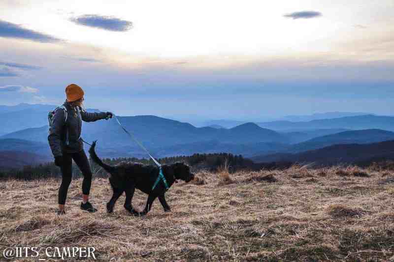 Dog Friendly Vacations North Carolina