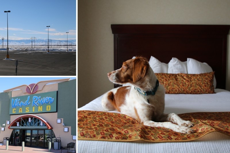 Dog Friendly Vacations Wyoming