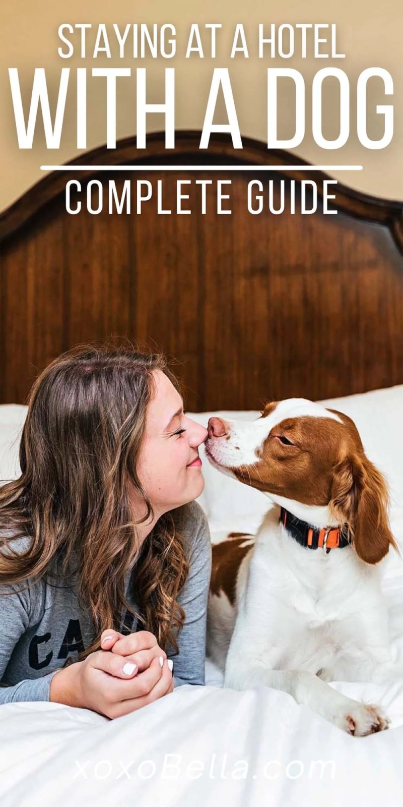 Pet Friendly Hotel Near Me Now