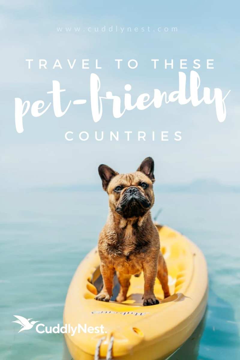 Pet Friendly Trip Planner