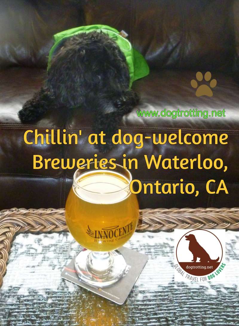 Pet Friendly Vacations Ontario