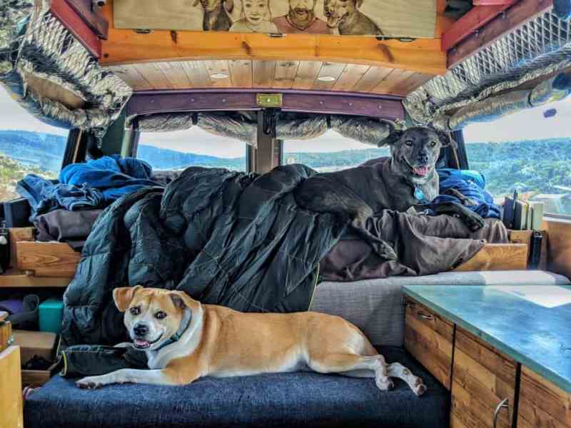 Road Trips With Dogs California