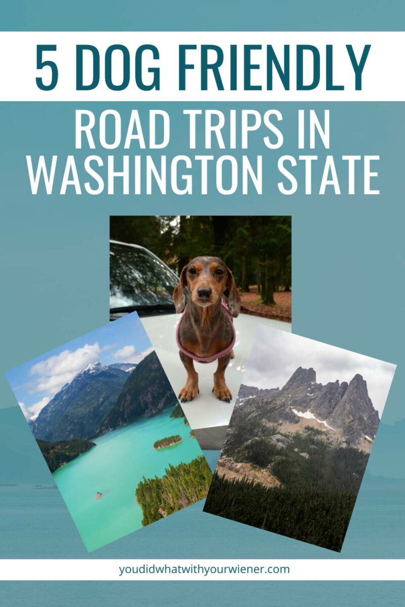 Weekend Trips Near Me With Dogs