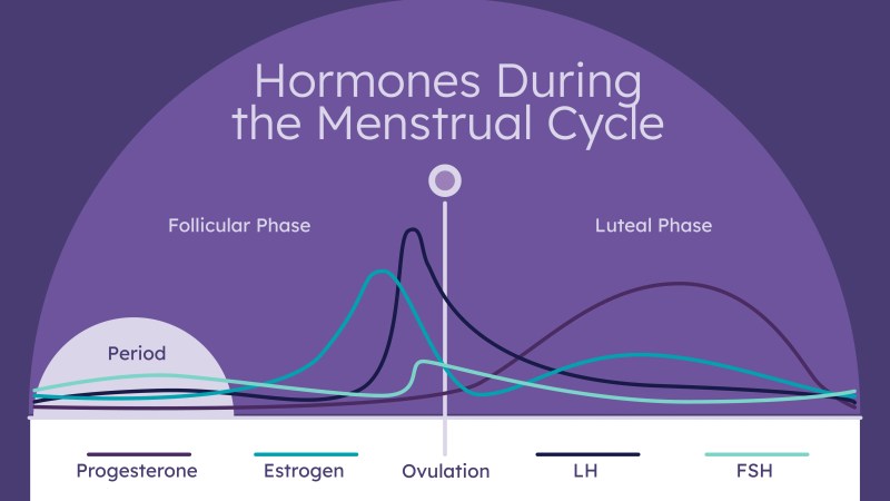 When Will I Ovulate If I Missed My Period