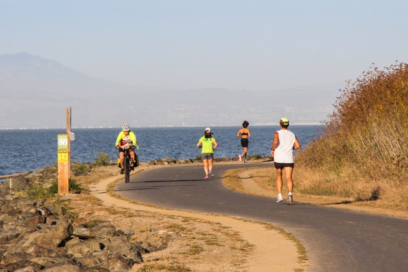 Best Dog Friendly Bay Area Hikes