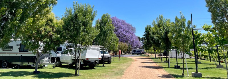 Best Dog Friendly Caravan Parks Victoria