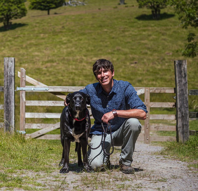 Best Dog Friendly National Trust