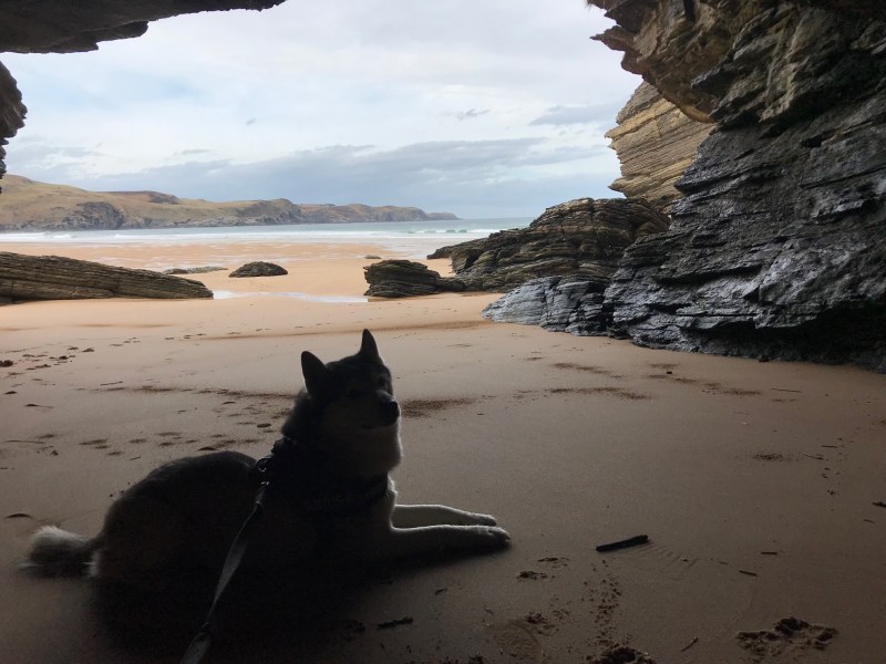 Day Trips With Dogs Scotland