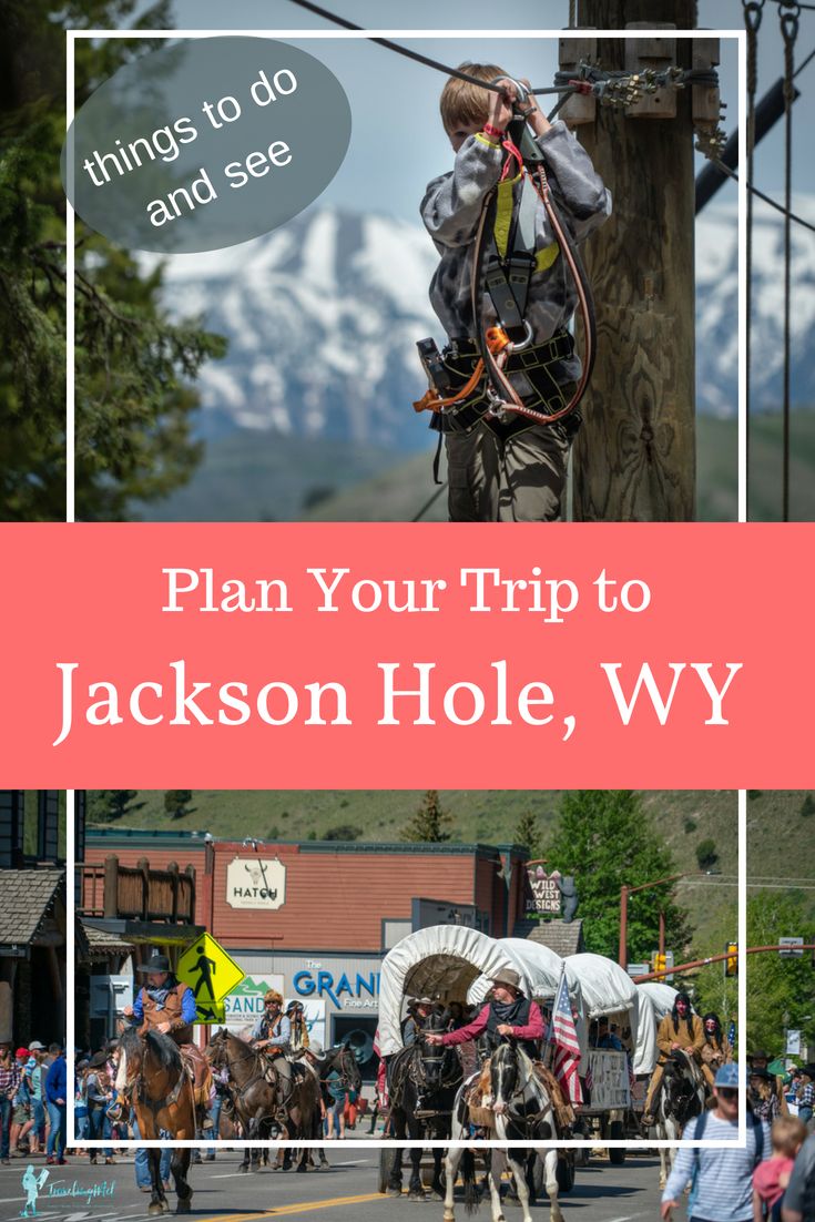 Dog Friendly Hotels In Jackson Hole Wy