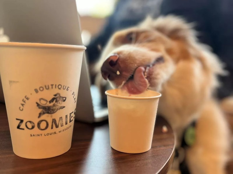 Dog Friendly Restaurants And Bars Near Me