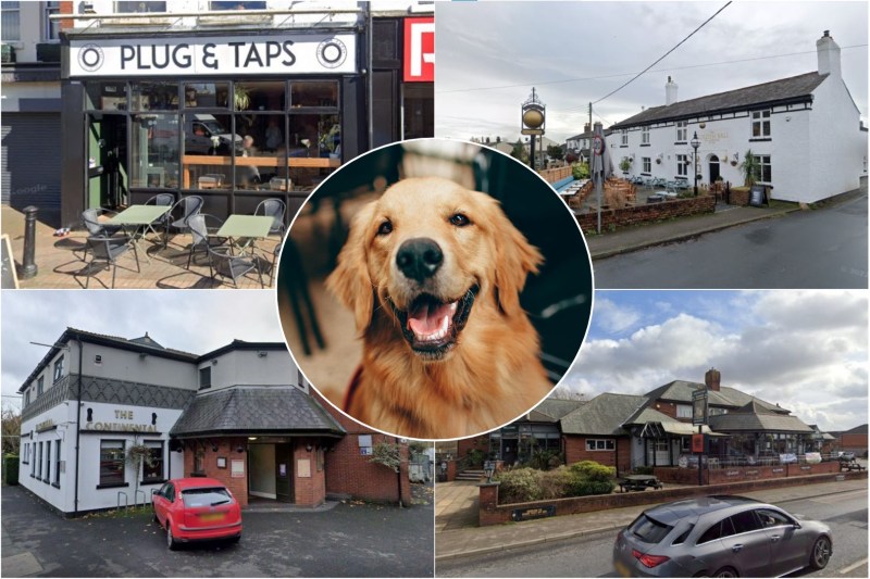 Good Dog Friendly Pubs Near Me