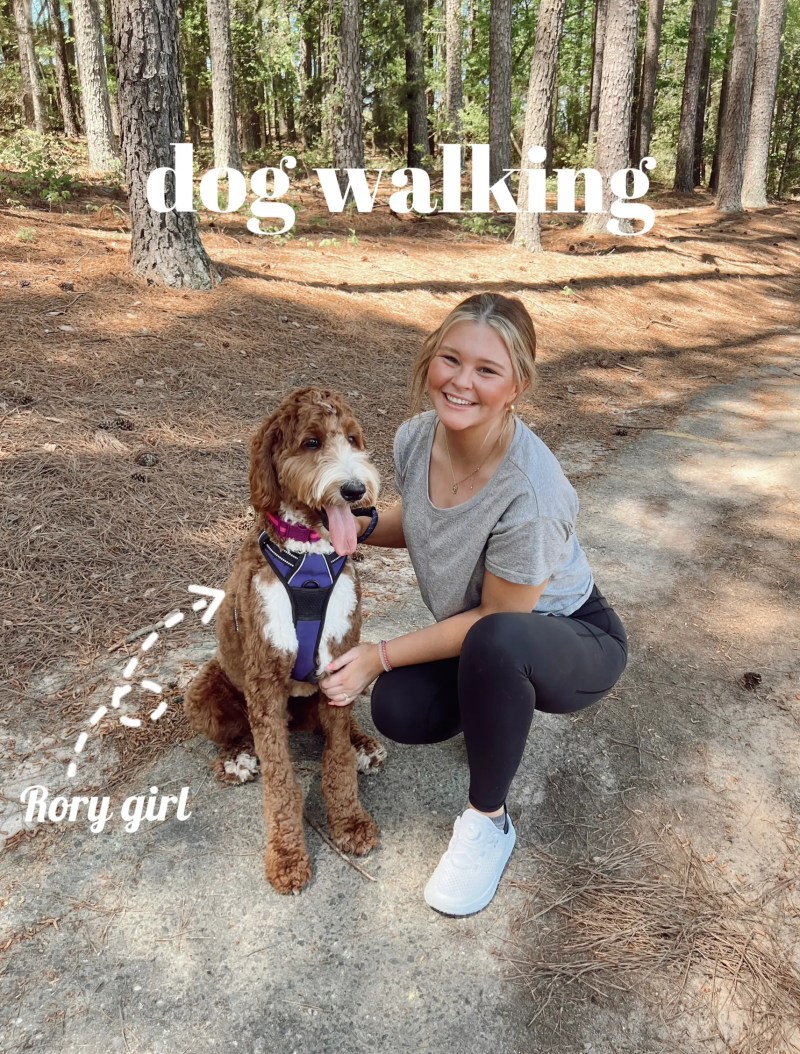 Good Dog Friendly Walks Near Me