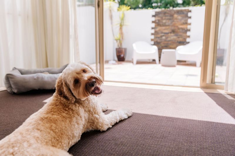 Pet Friendly Holidays Qld