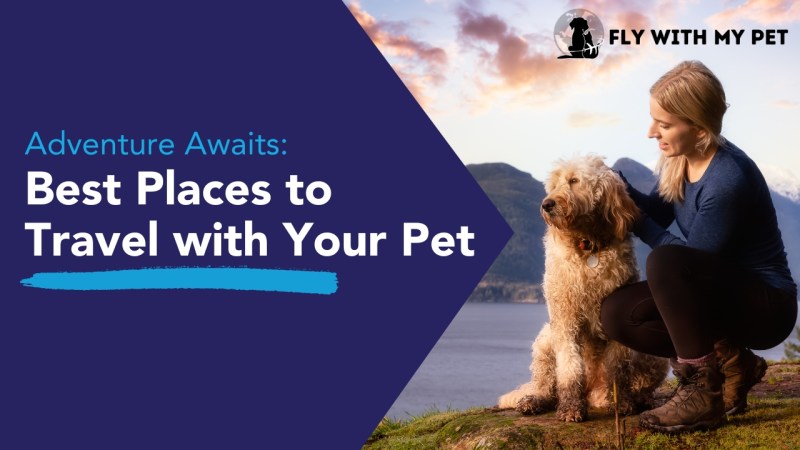 Places To Take Your Dog On Vacation